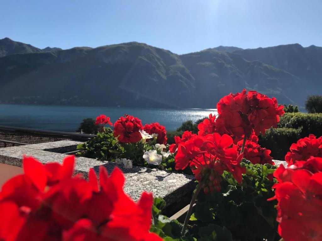 Angelina'S House With Lake View - Bellagio Exteriér fotografie